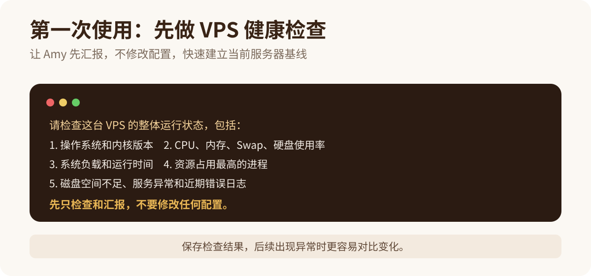 Assistant Amy VPS 健康检查中文提示词